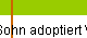 Sohn adoptiert Vater